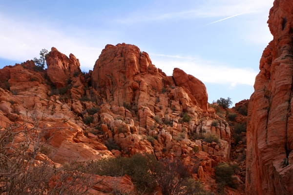 Arch Trail Landscape