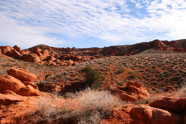 Along the Elephant Arch Trail